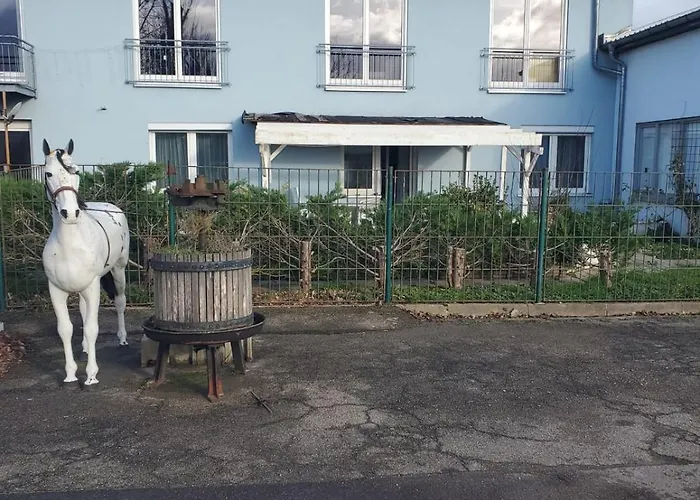 Grosse 3 Zi Wohnung Auf Der Pferde Farm